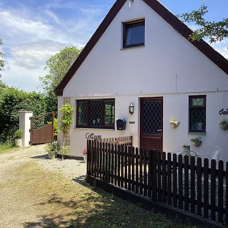 Bosvean Cottage Bude Eksteriør billede